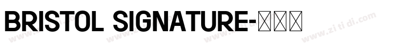 Bristol Signature字体转换
